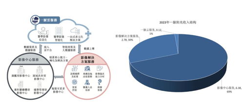 稀缺標的港股上市 醫學影像第一股邁入高增長，互聯網數據服務助力新篇章